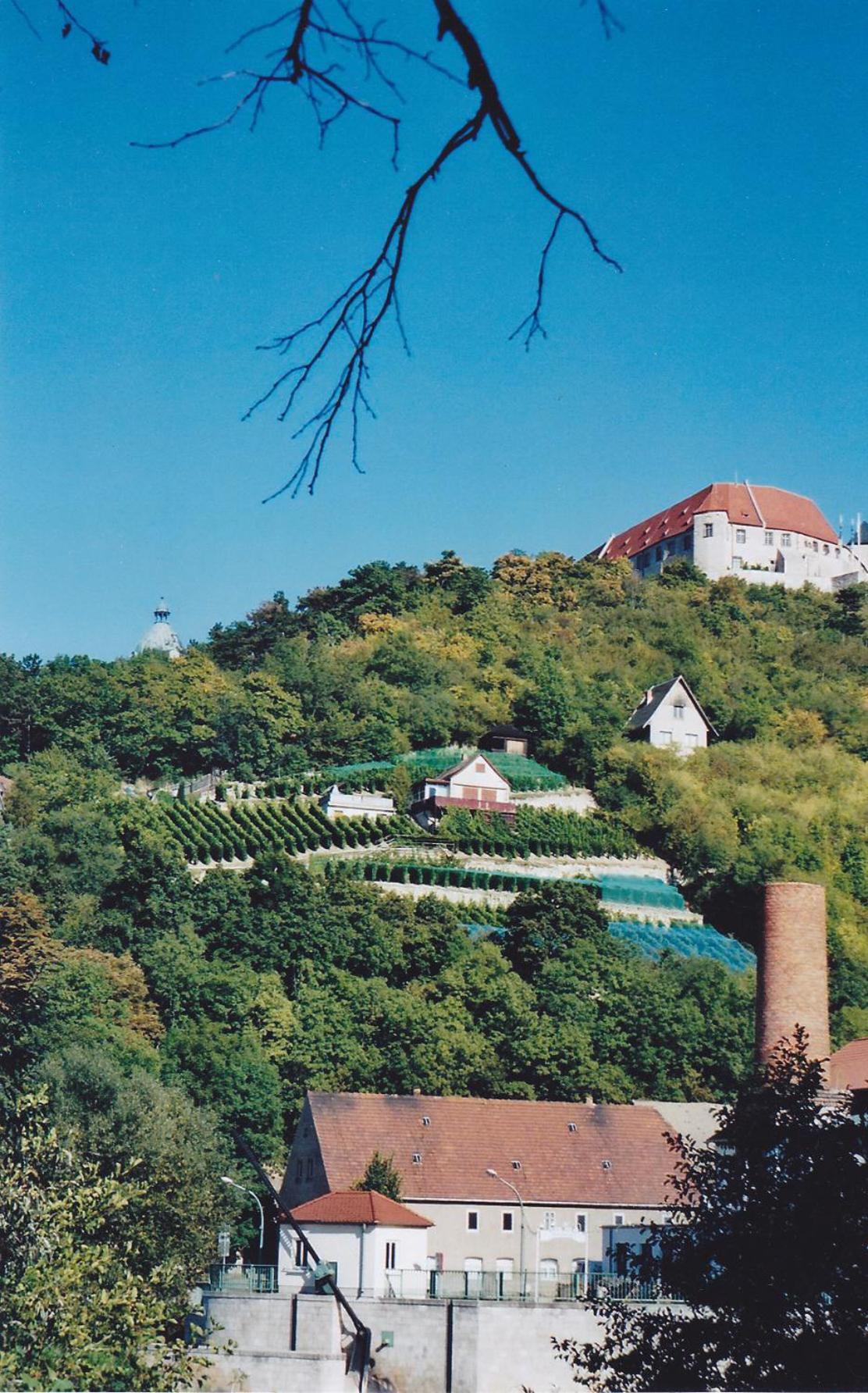 Hotel Garni Zum Rebstock Наумбург Екстериор снимка